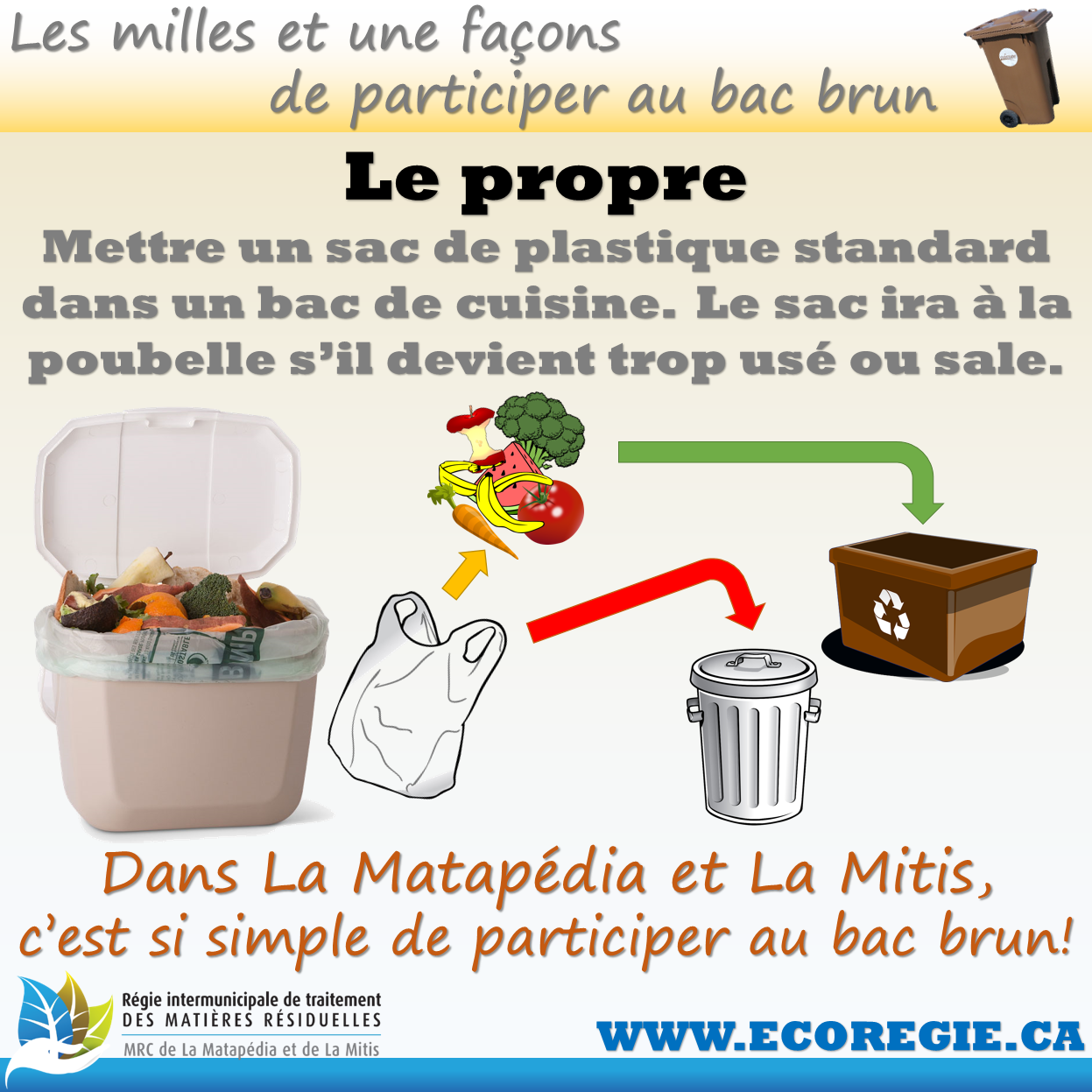Propre bac brun