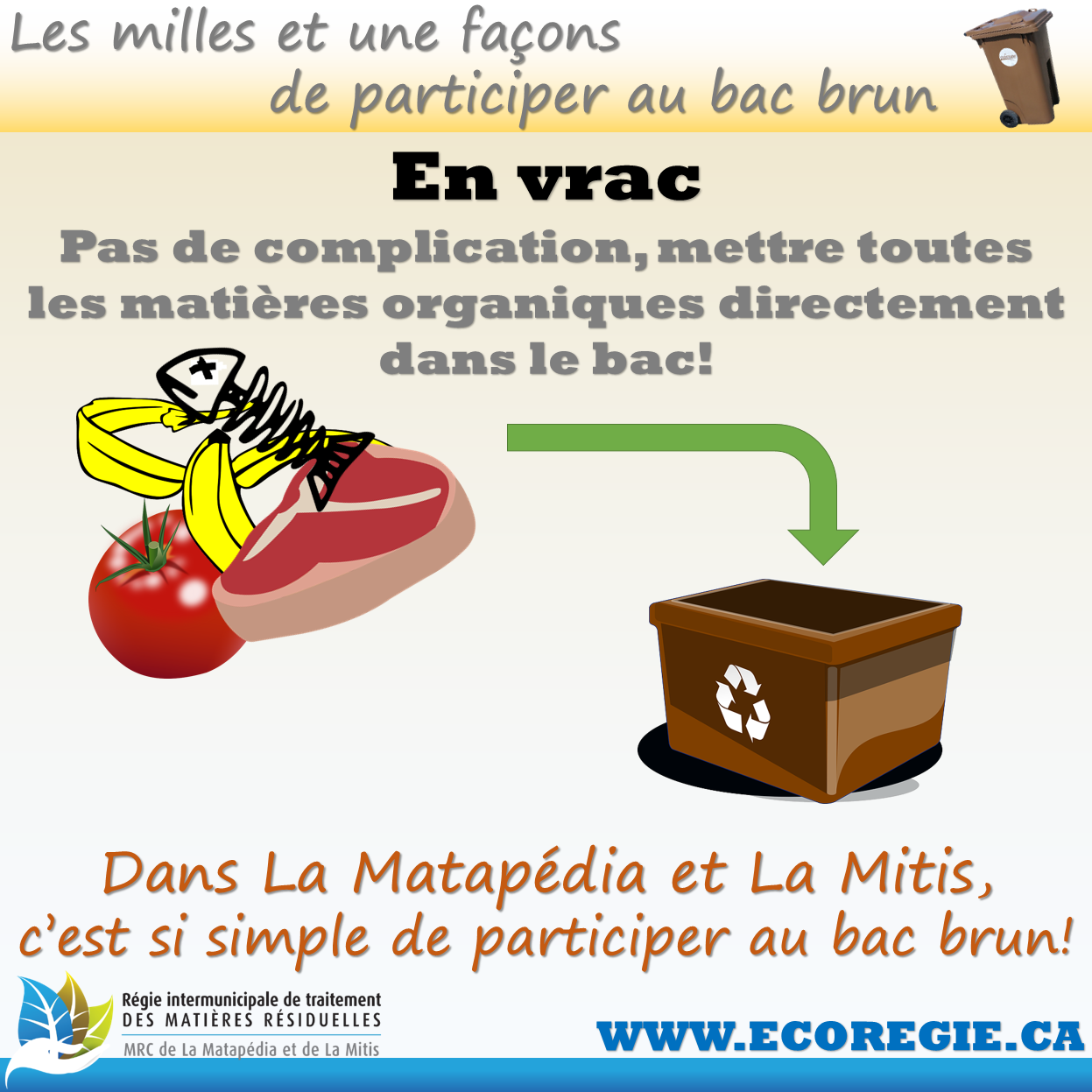 Vrac bac brun