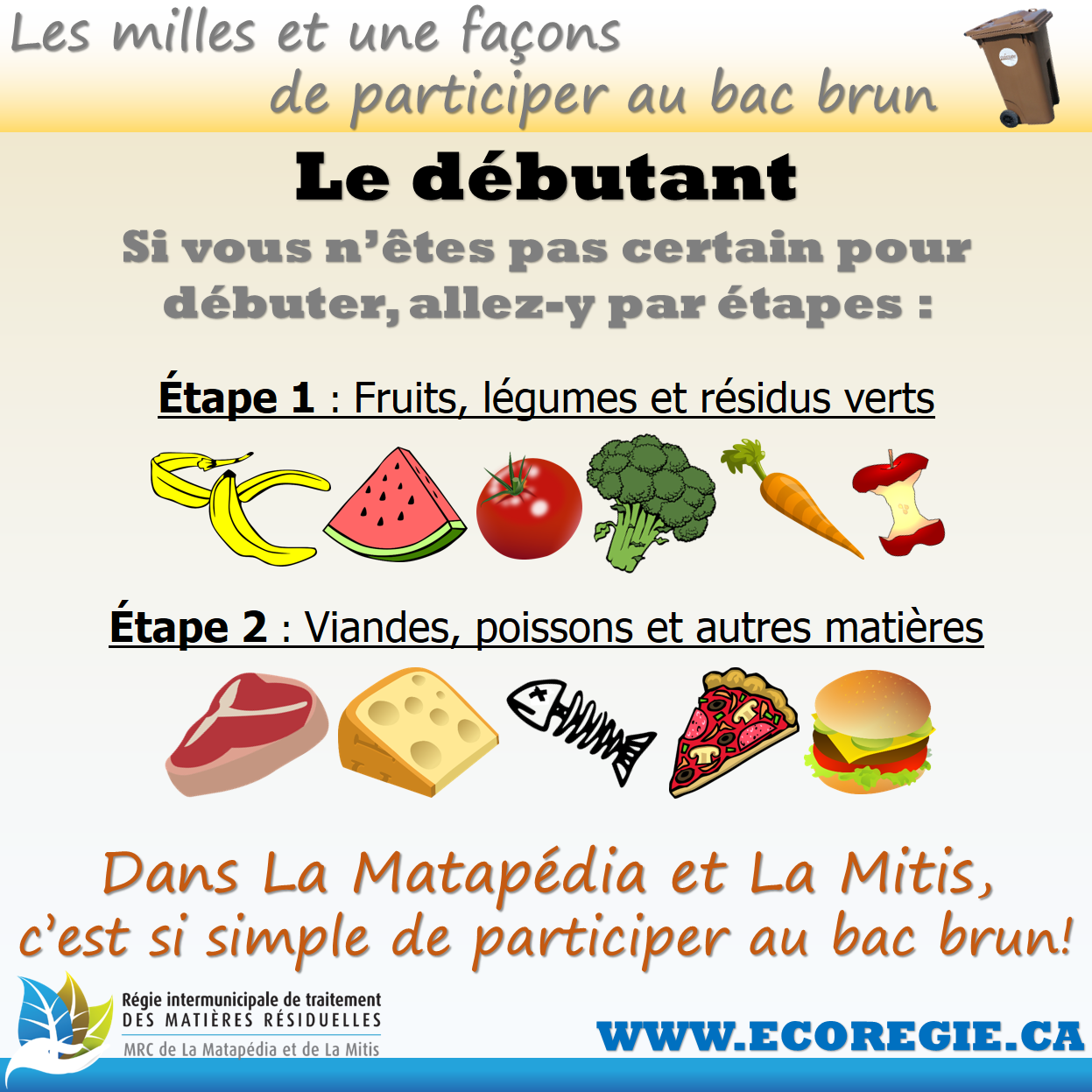 Débutant bac brun