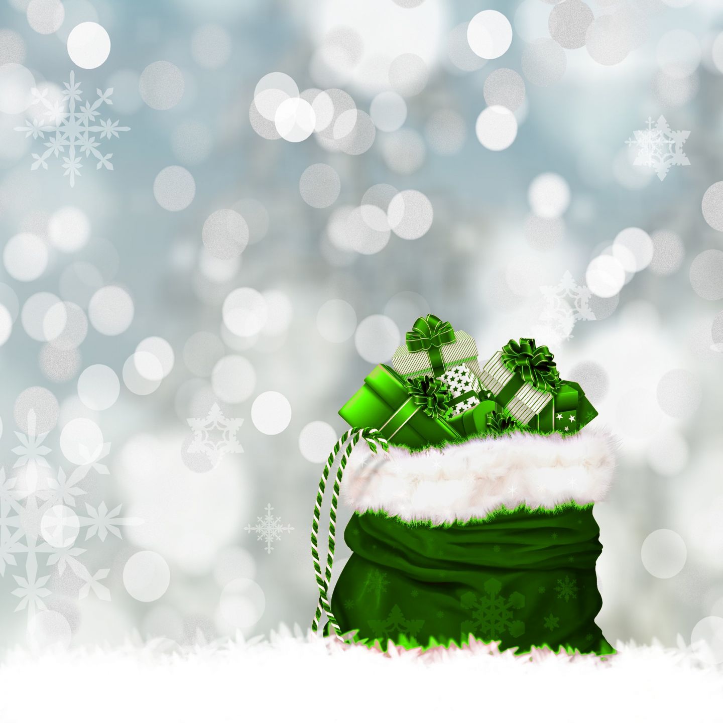 Décembre 2023 - Un Noël Vert en rappel